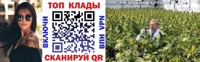 Наркошоп купить АМФ  Метамфетамин  Мефедрон  Бошки Шишки  Кокаин  Псилоцибиновые грибы  Котовск