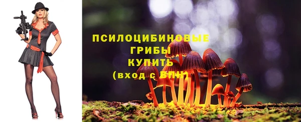 бутират Бугульма