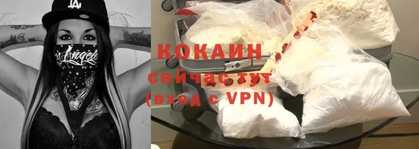 шишки Арсеньев