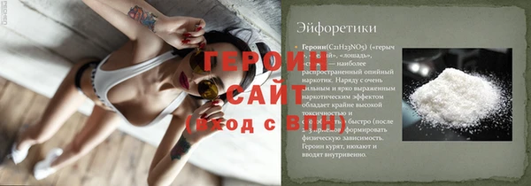 индика Бородино