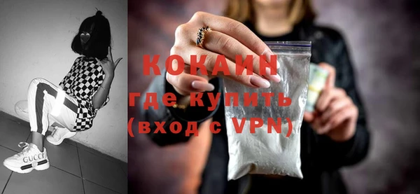 шишки Арсеньев