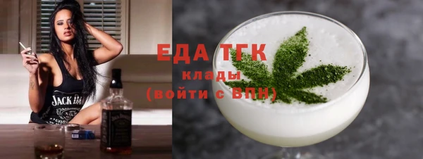 индика Бородино