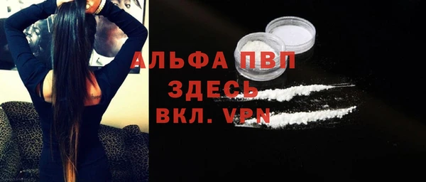 шишки Арсеньев