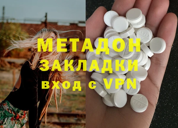 шишки Арсеньев