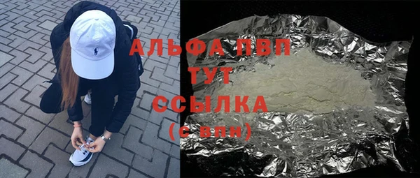 индика Бородино