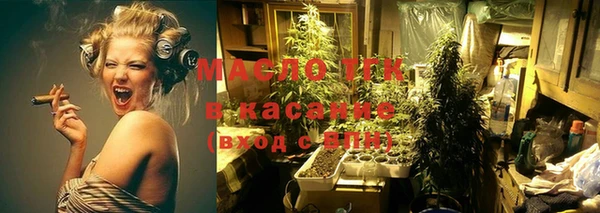 шишки Арсеньев