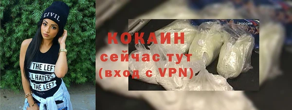 шишки Арсеньев