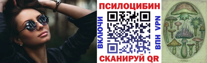 Купить  Котовск  Псилоцибиновые грибы мухоморы 